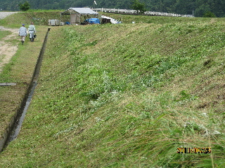 草刈り後の南側斜面