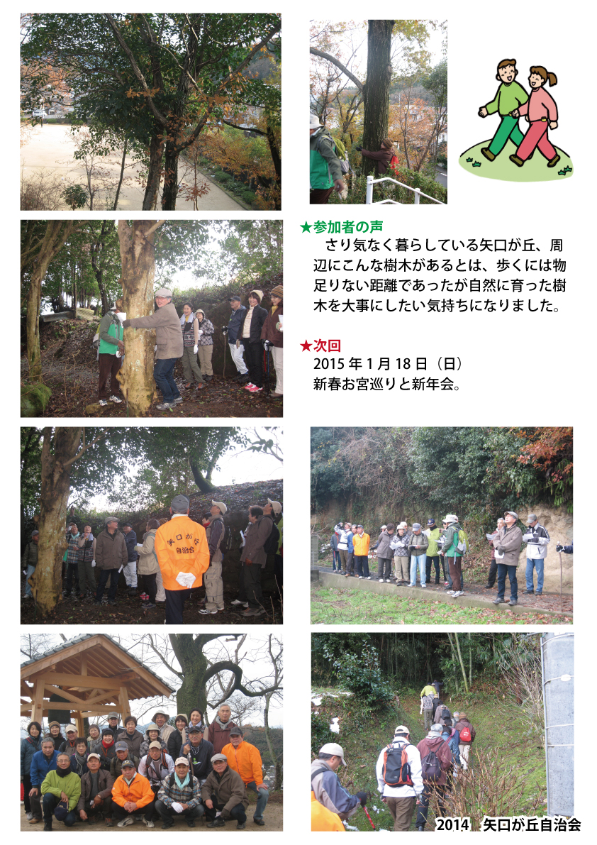矢口が丘「歩くの大好き会」第21回「おおきな樹いろいろを訪ねる」20141221報告P2